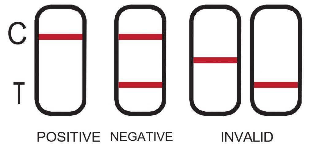 Interpretation of results